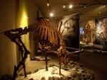 Neanderthal Museum, Deutschland, 2011